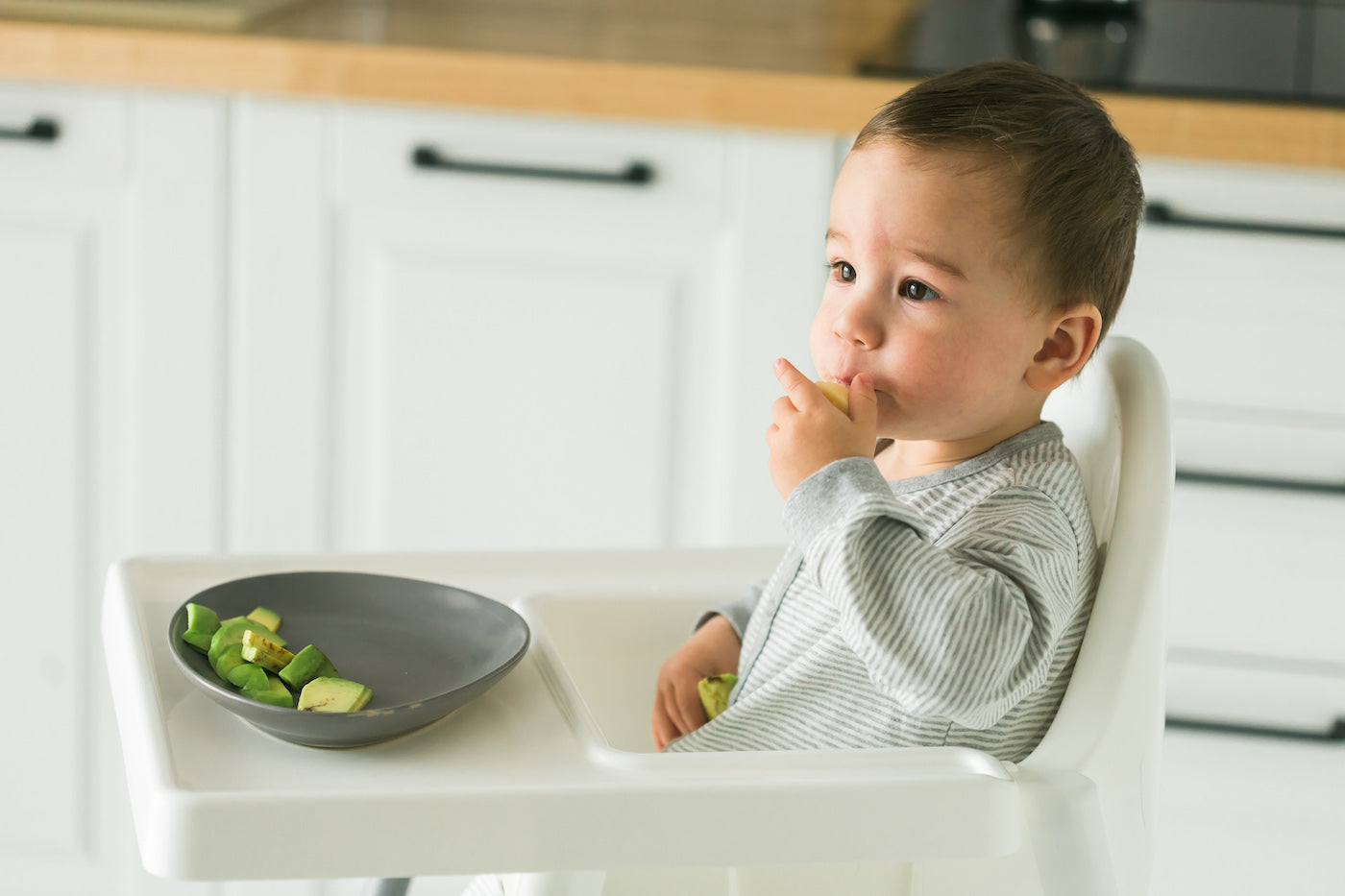 Self-Feeding Daycare Lunch Ideas for One Year Olds