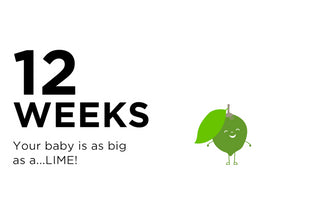 12 Weeks Pregnant: The Happiest Baby Guide to Pregnancy Week by Week