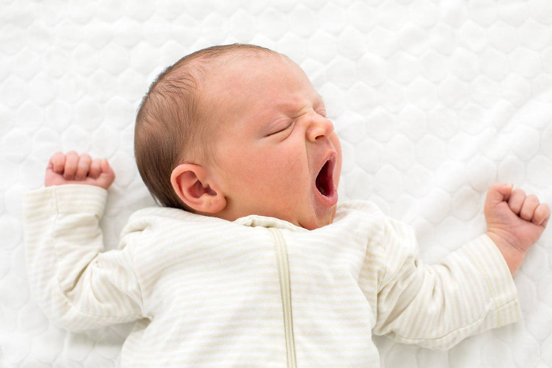 What the New SIDS Study Means for Your Baby – Happiest Baby