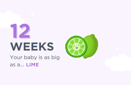 12 Weeks Pregnant: On Your Way to the First Trimester Finish Line