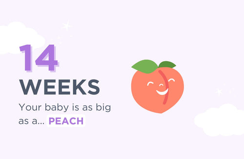 14 Weeks Pregnant: Welcome to the 2nd Trimester!