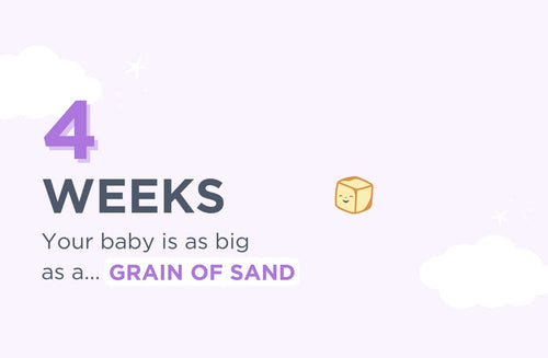 4 Weeks Pregnant: Congrats—You’re Pregnant! 