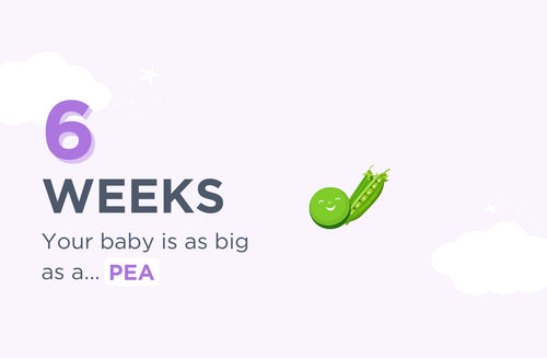 6 Weeks Pregnant: Hello, Morning Sickness