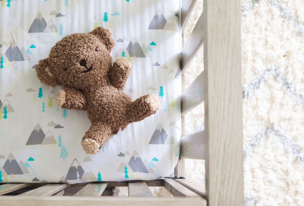 How to Clean Stuffed Animals and Remove Germs