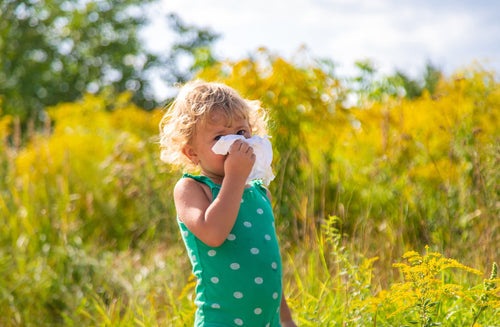 Hay Fever Help: How to Manage Your Child’s Seasonal Allergies