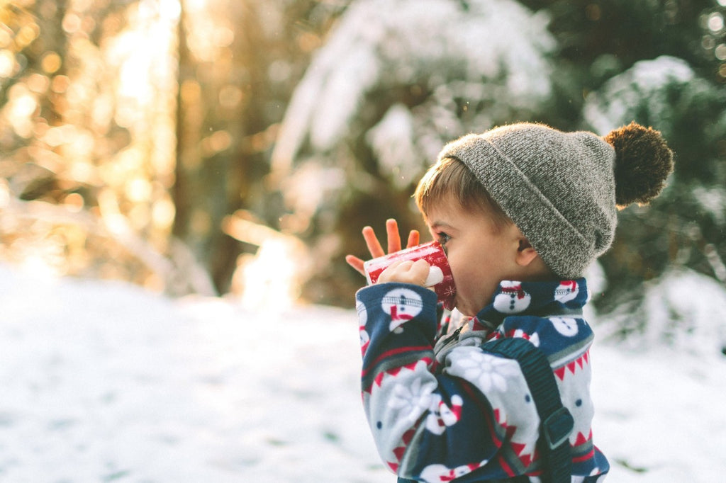 Outdoor winter activities for 2 year olds – Active For Life